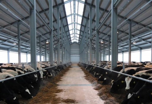 Строительство сельхоз сооружений в Ташкенте