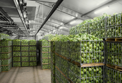 Строительство овощехранилищ в Ташкенте